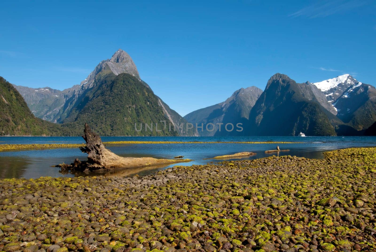 Fiordland