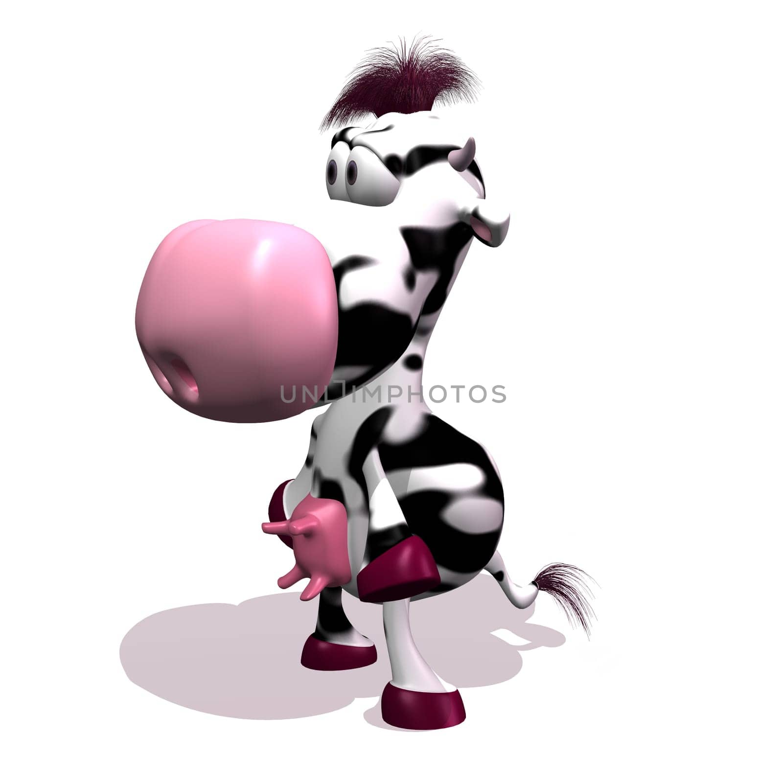 Cow