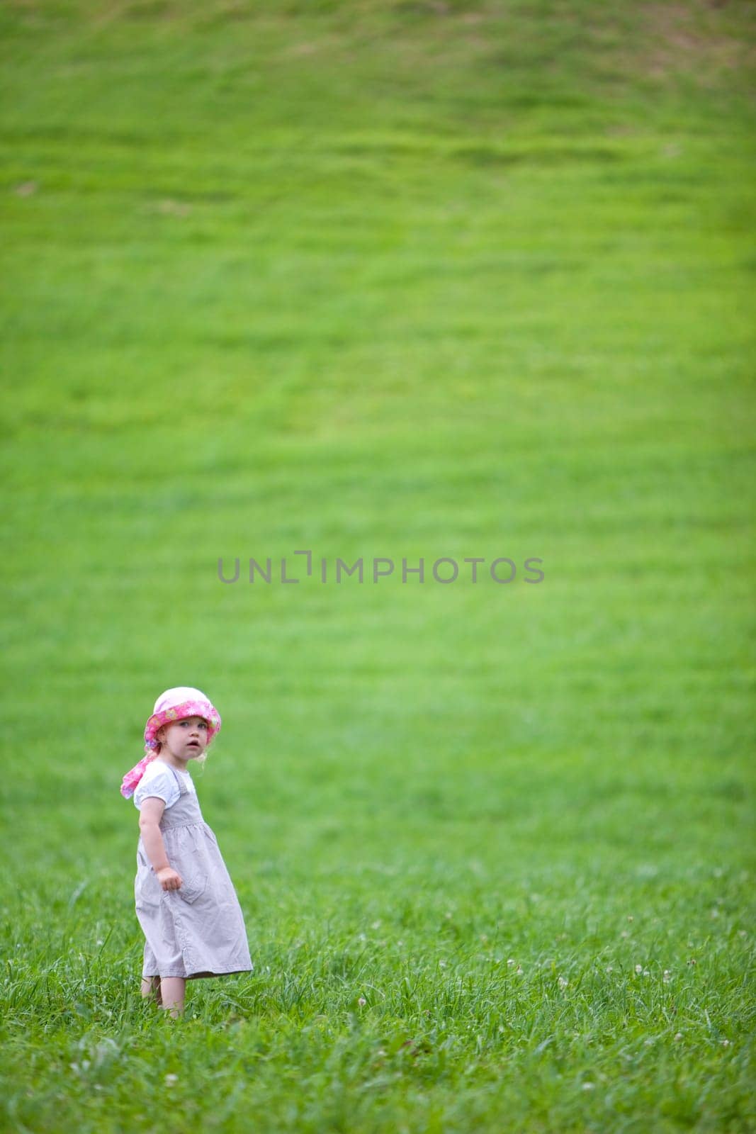 Girl in the meadow