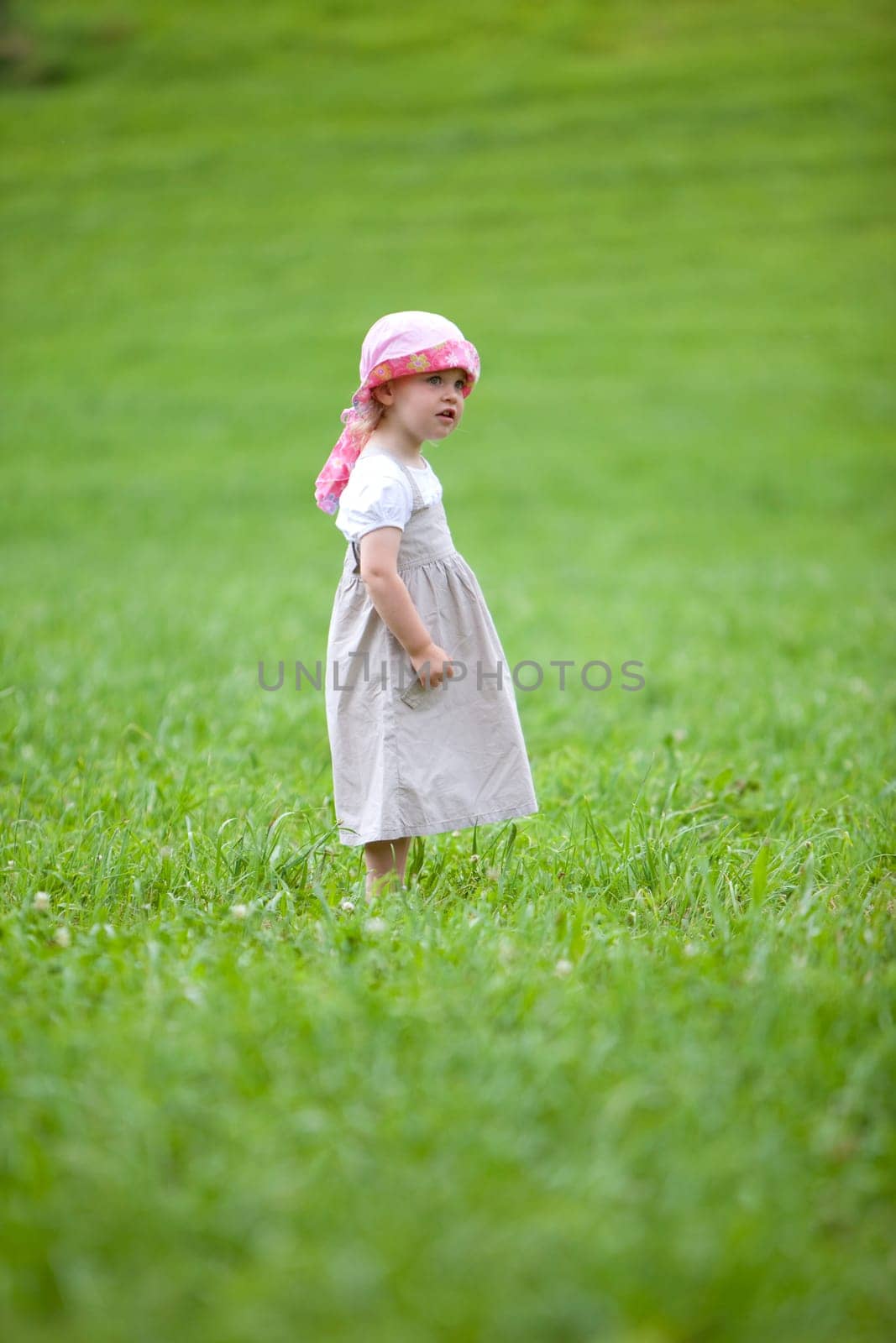 Girl in the meadow