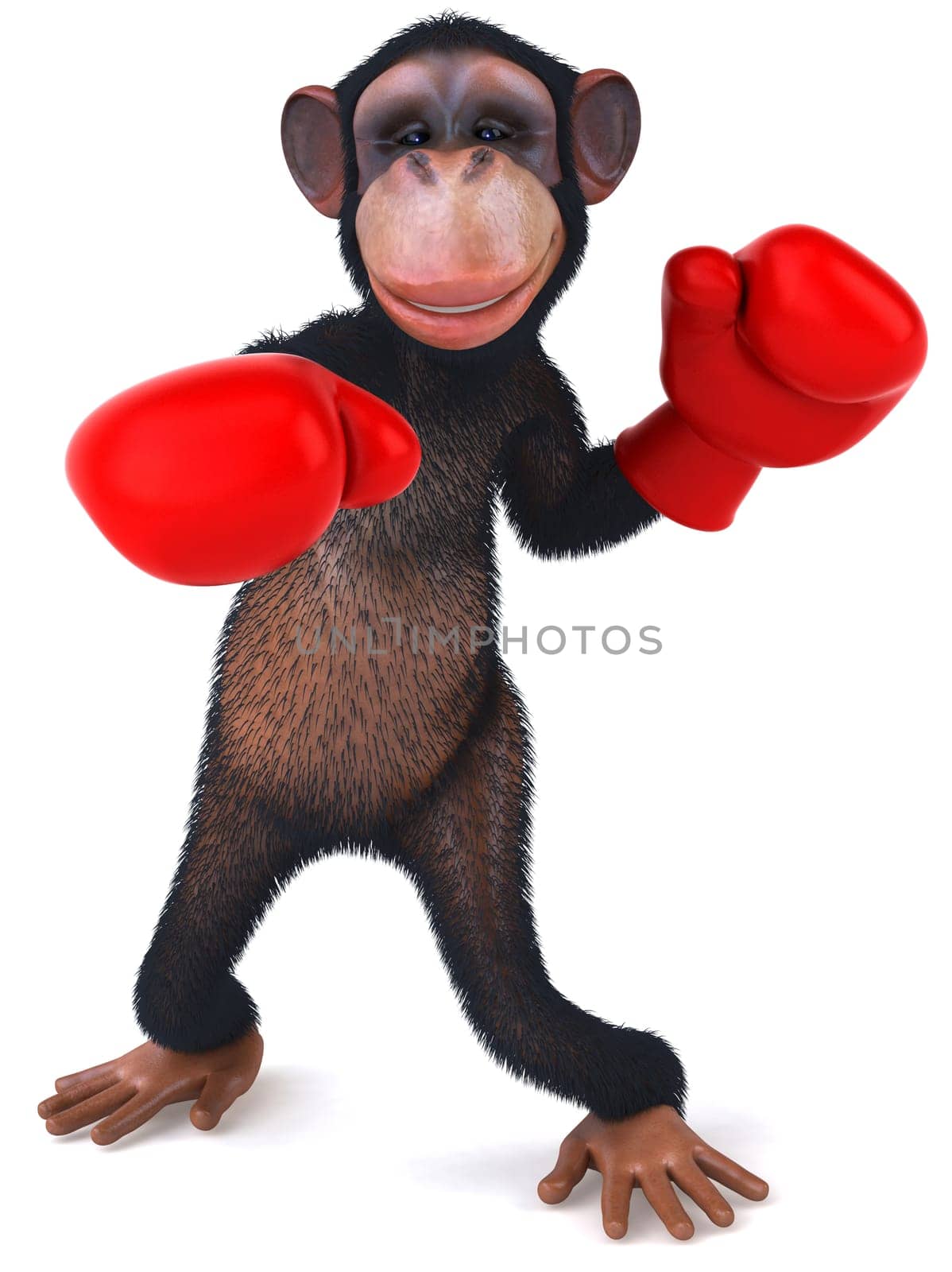 Monkey