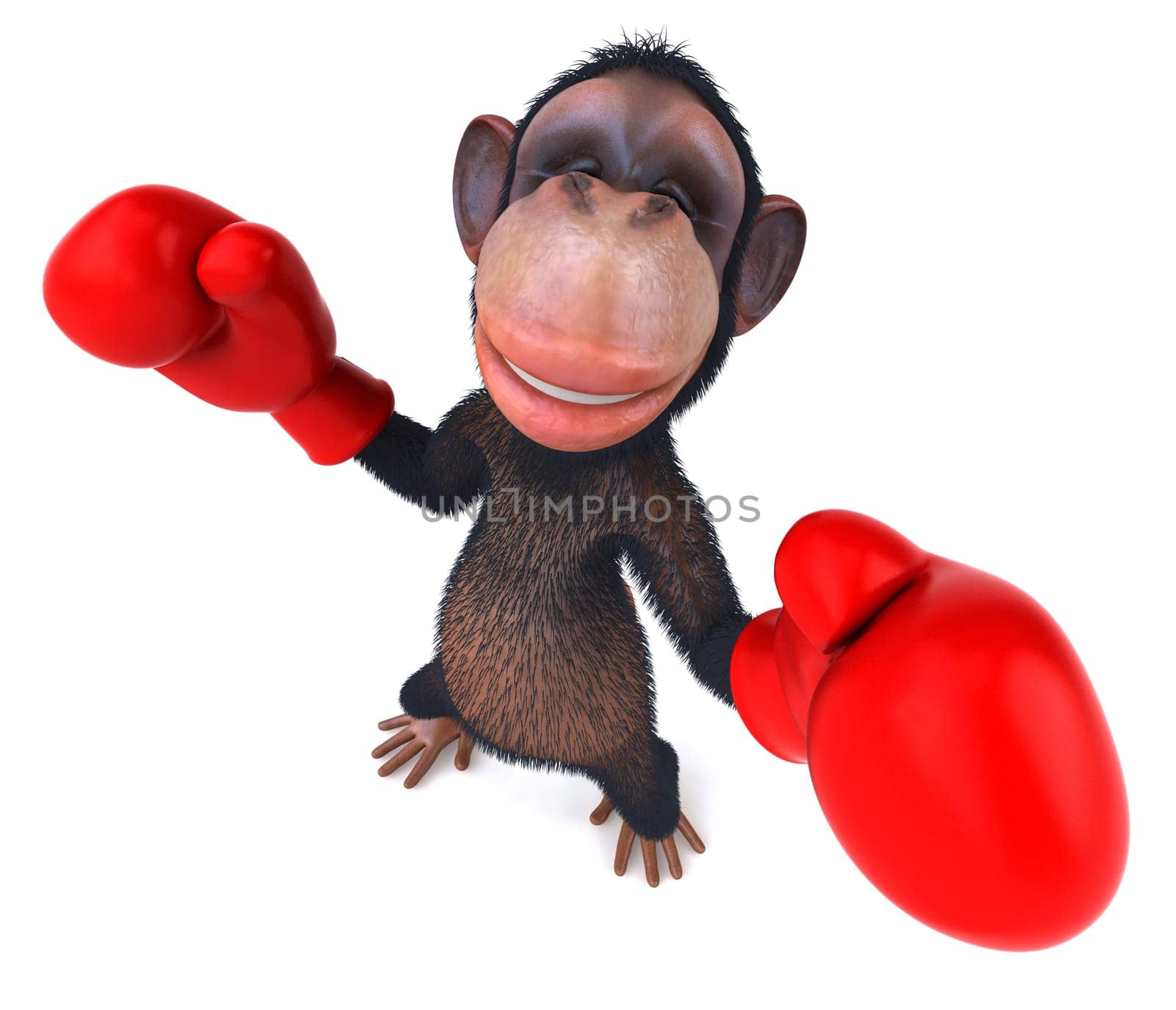 Monkey