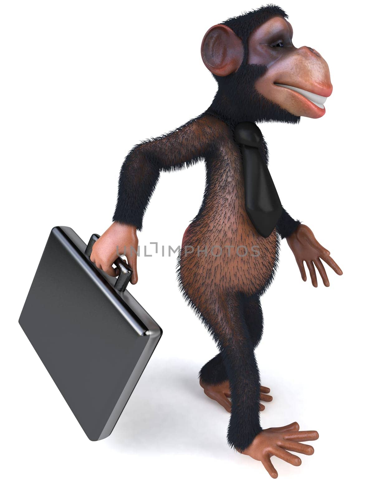 Monkey