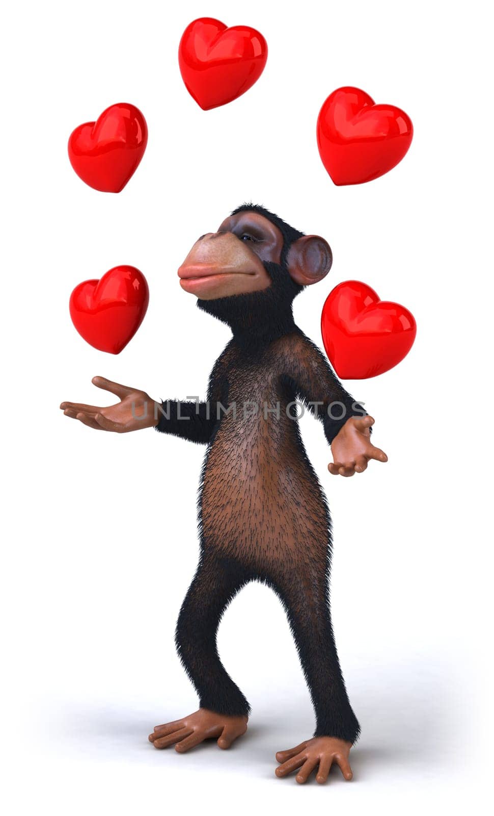 Monkey