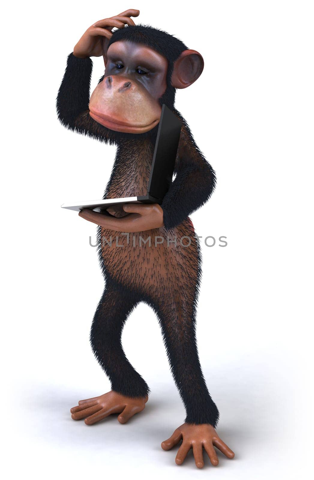 Monkey