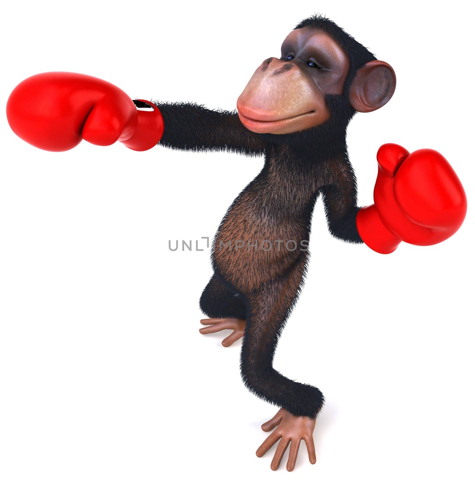 Monkey