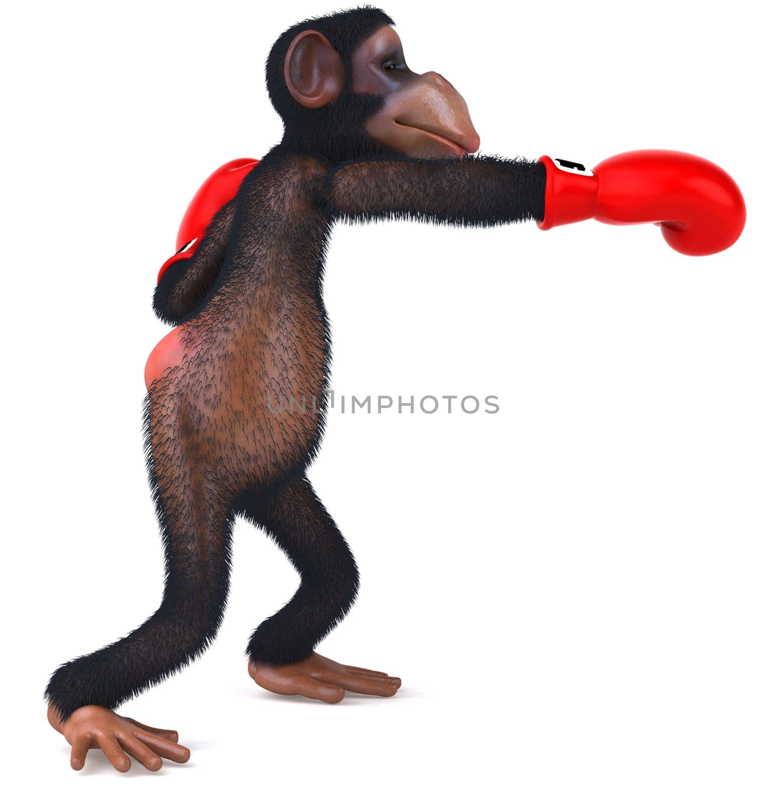 Monkey