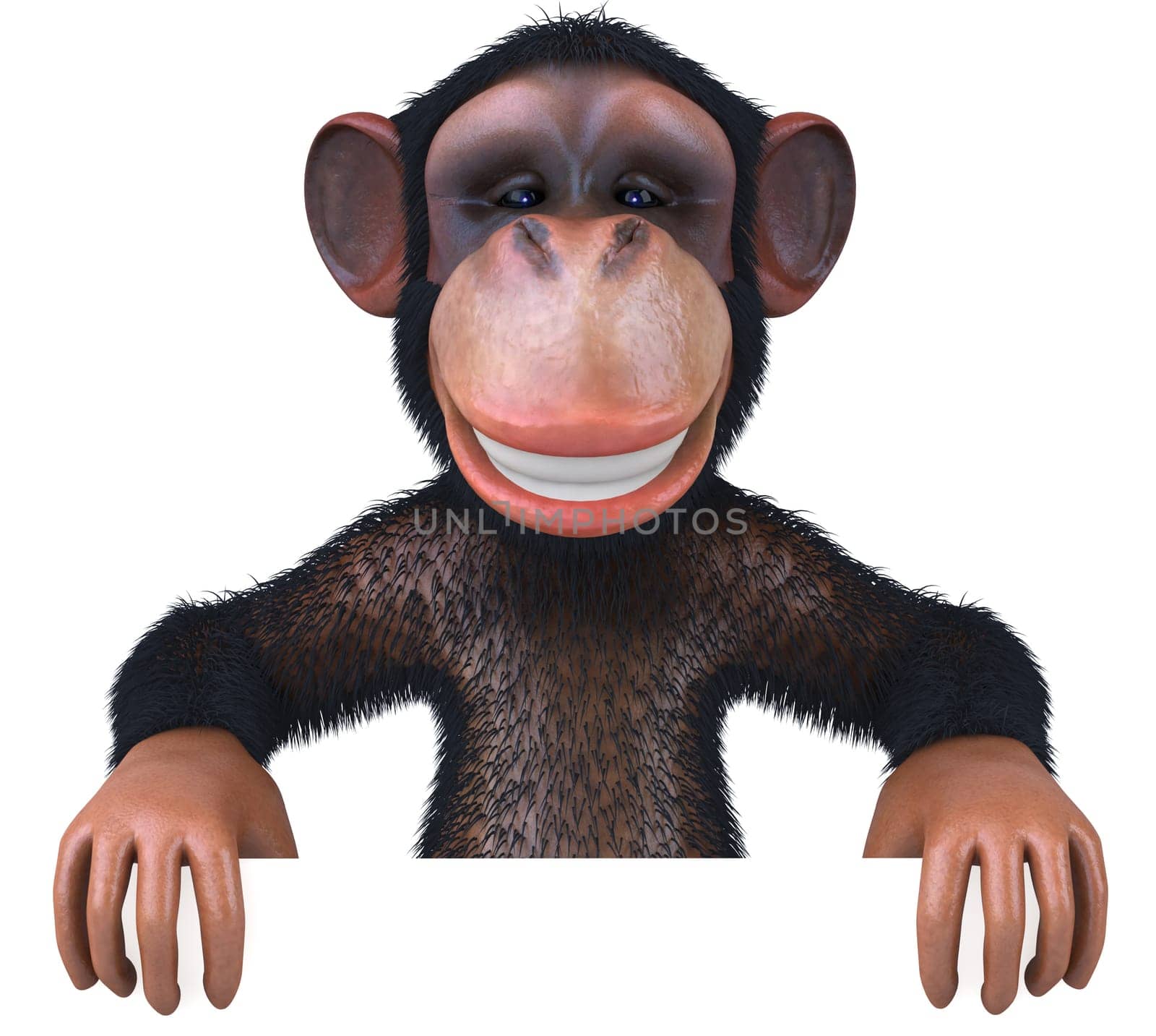 Monkey