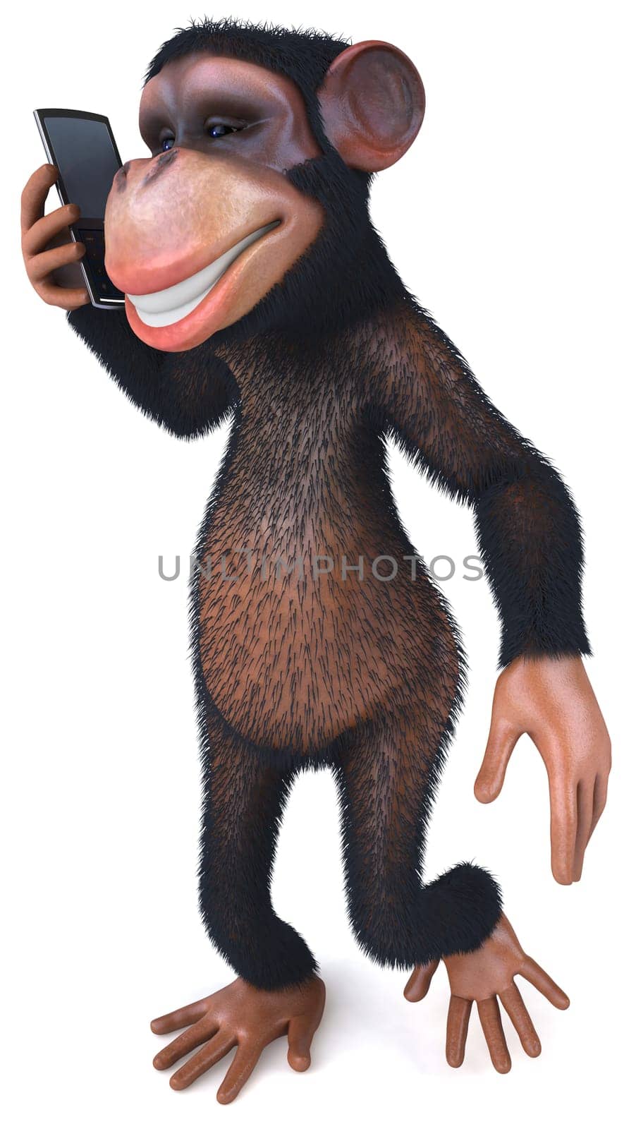 Monkey
