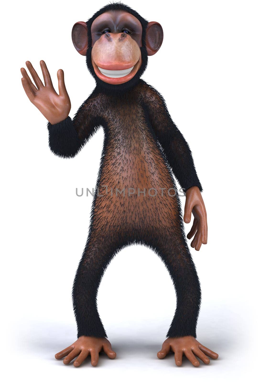 Monkey