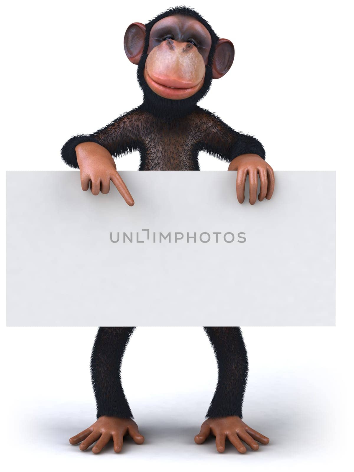 Monkey