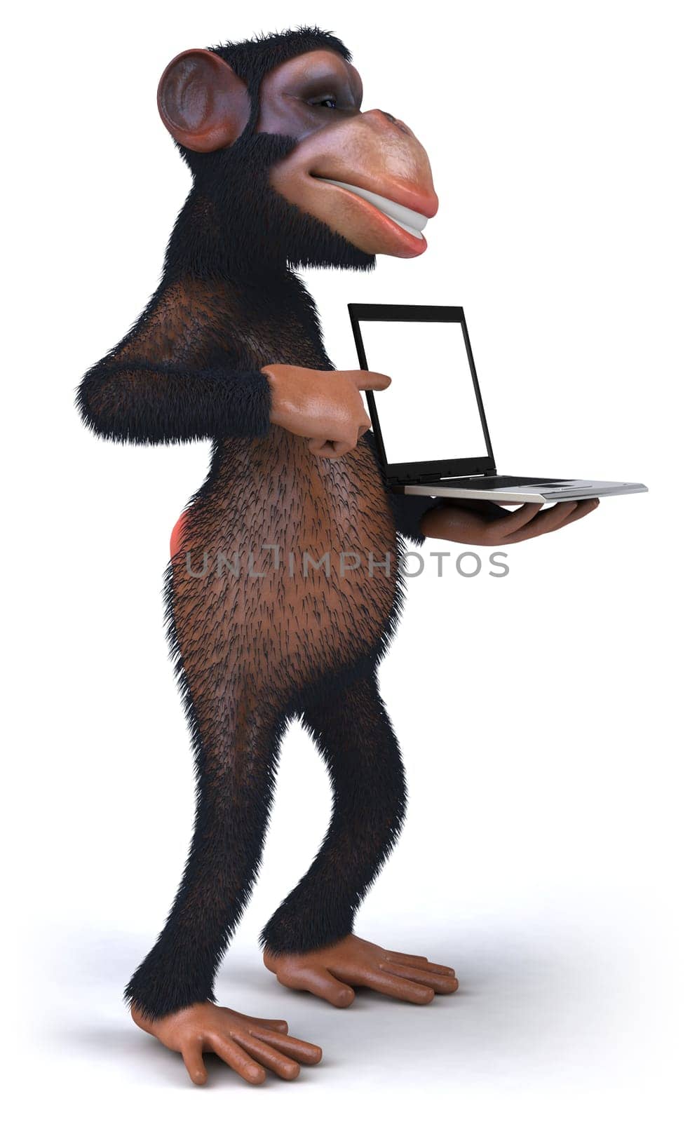 Monkey