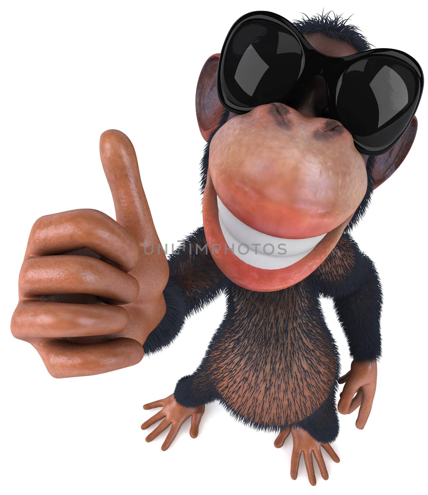 Monkey