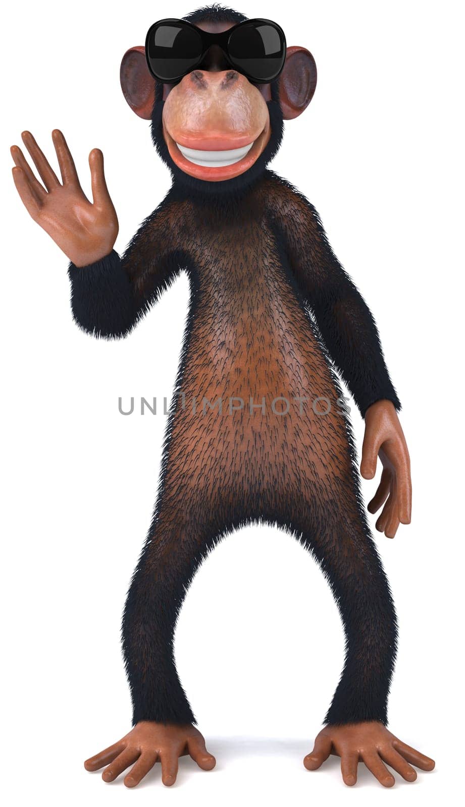 Monkey