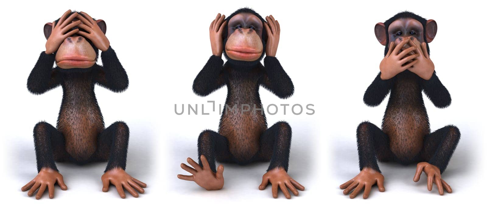 Monkey