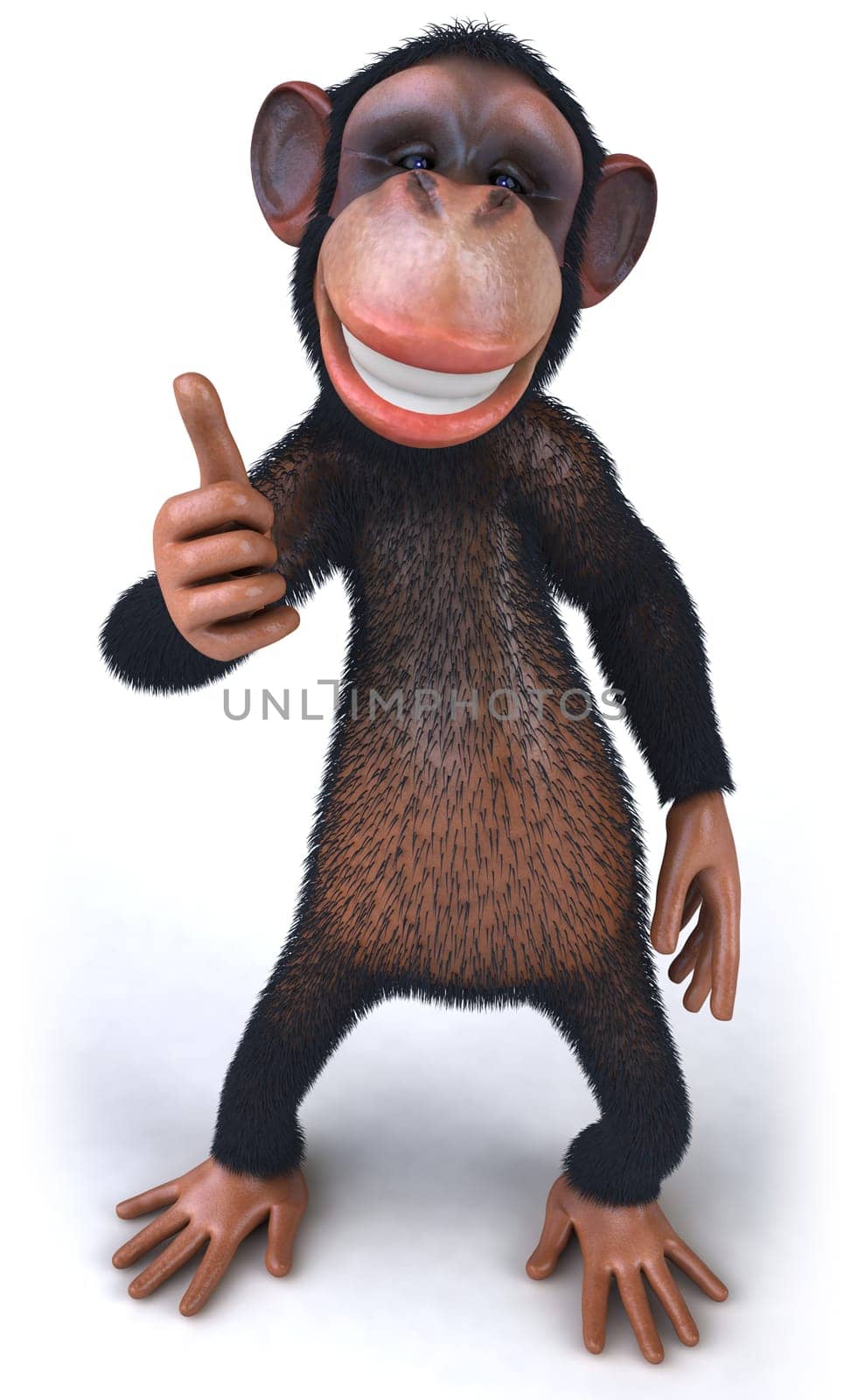 Monkey