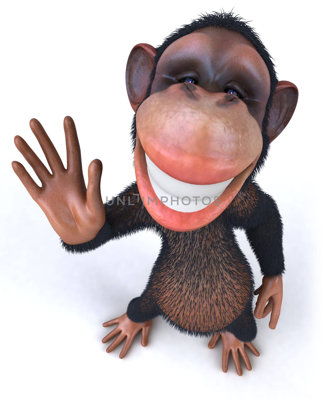 Monkey