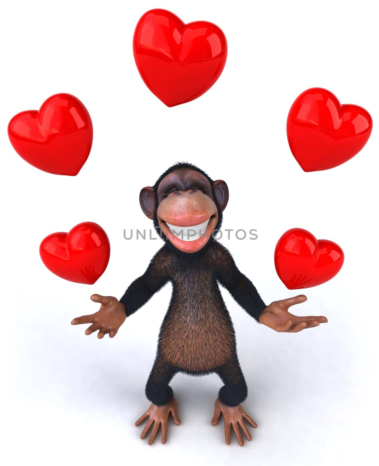 Monkey