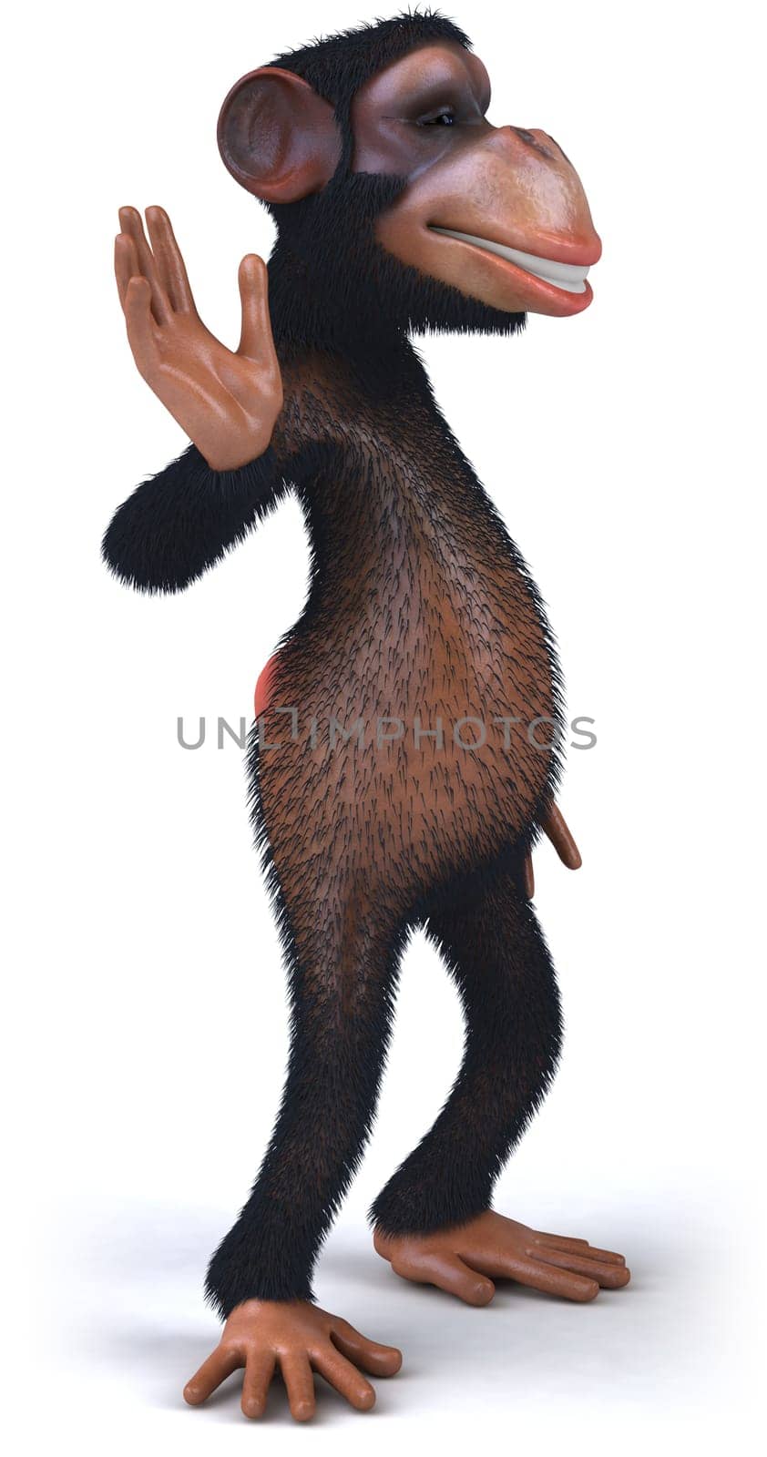Monkey