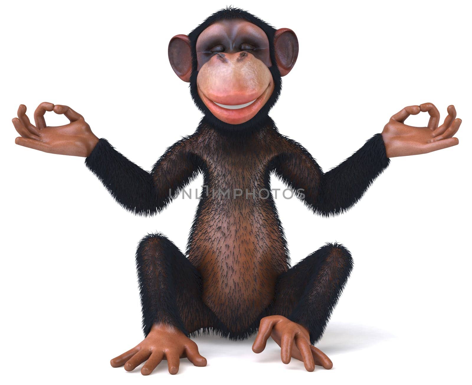 Zen monkey
