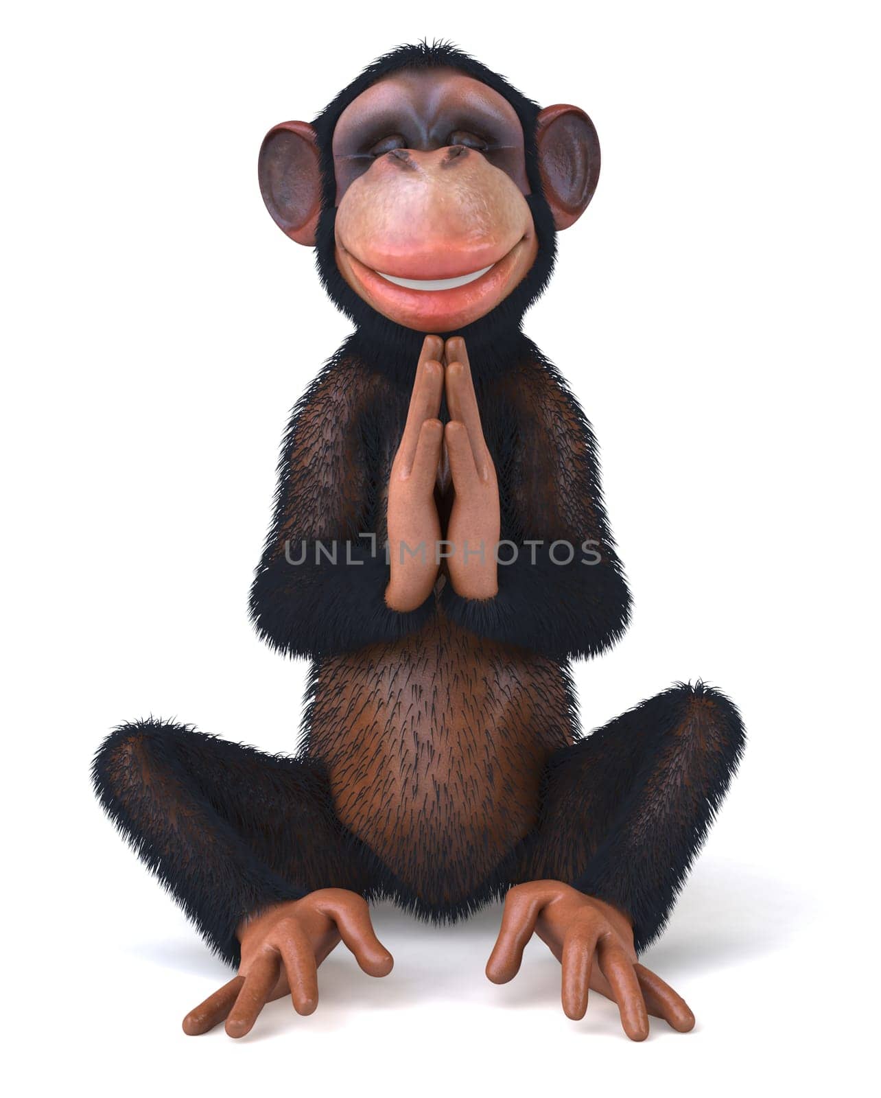 Zen monkey