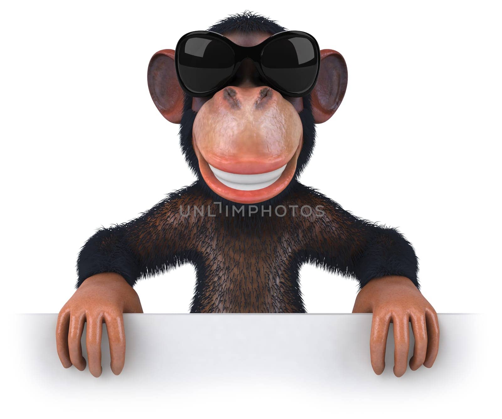 Monkey
