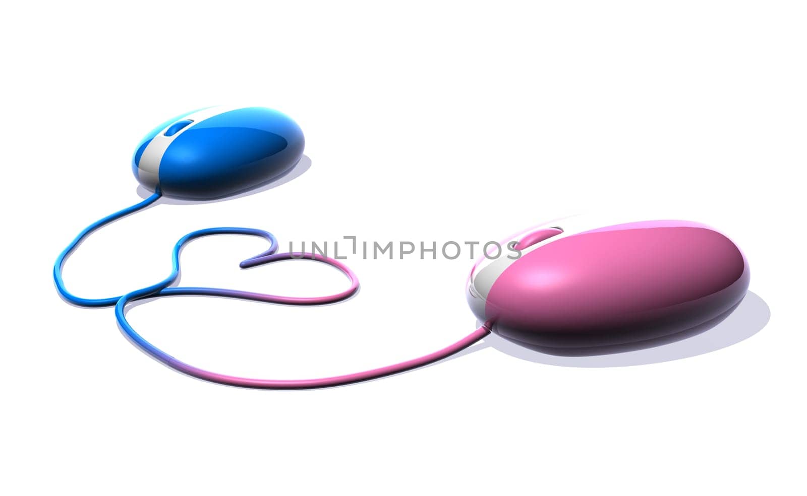 Mouse