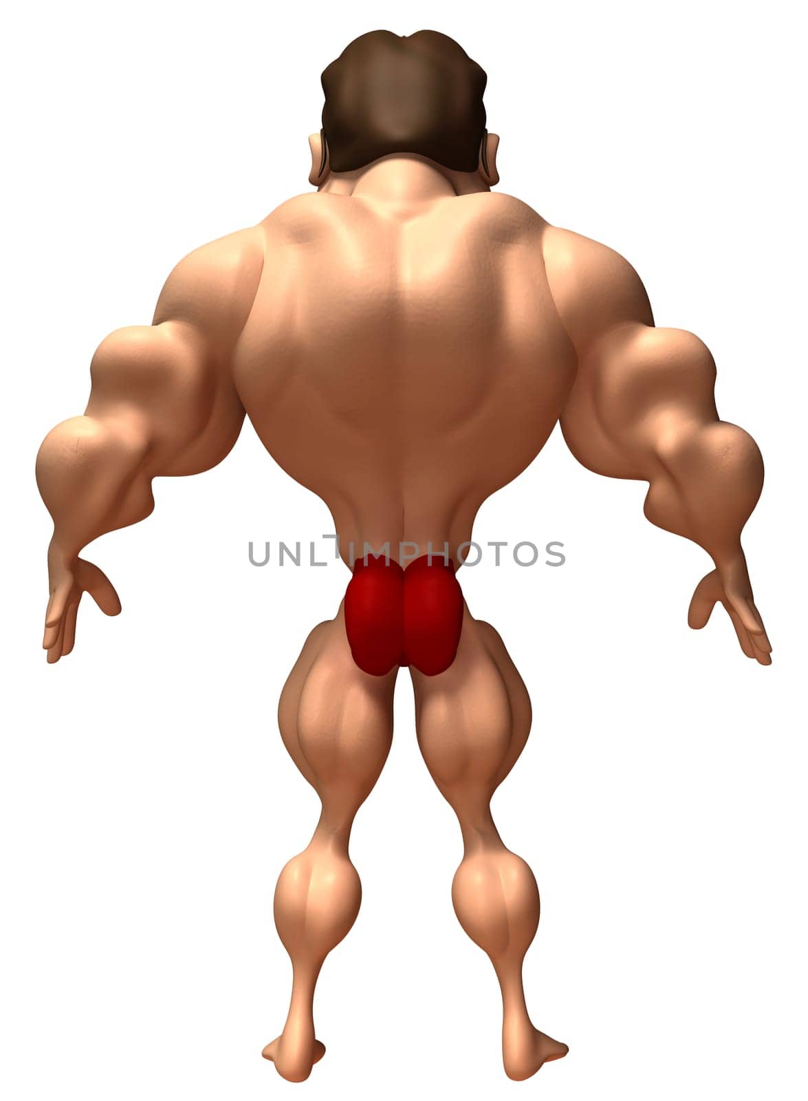 Body building
