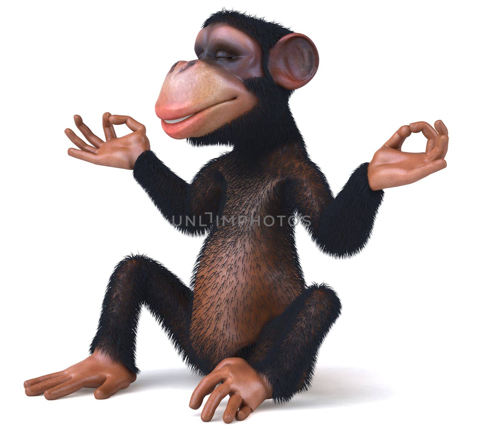 Zen monkey