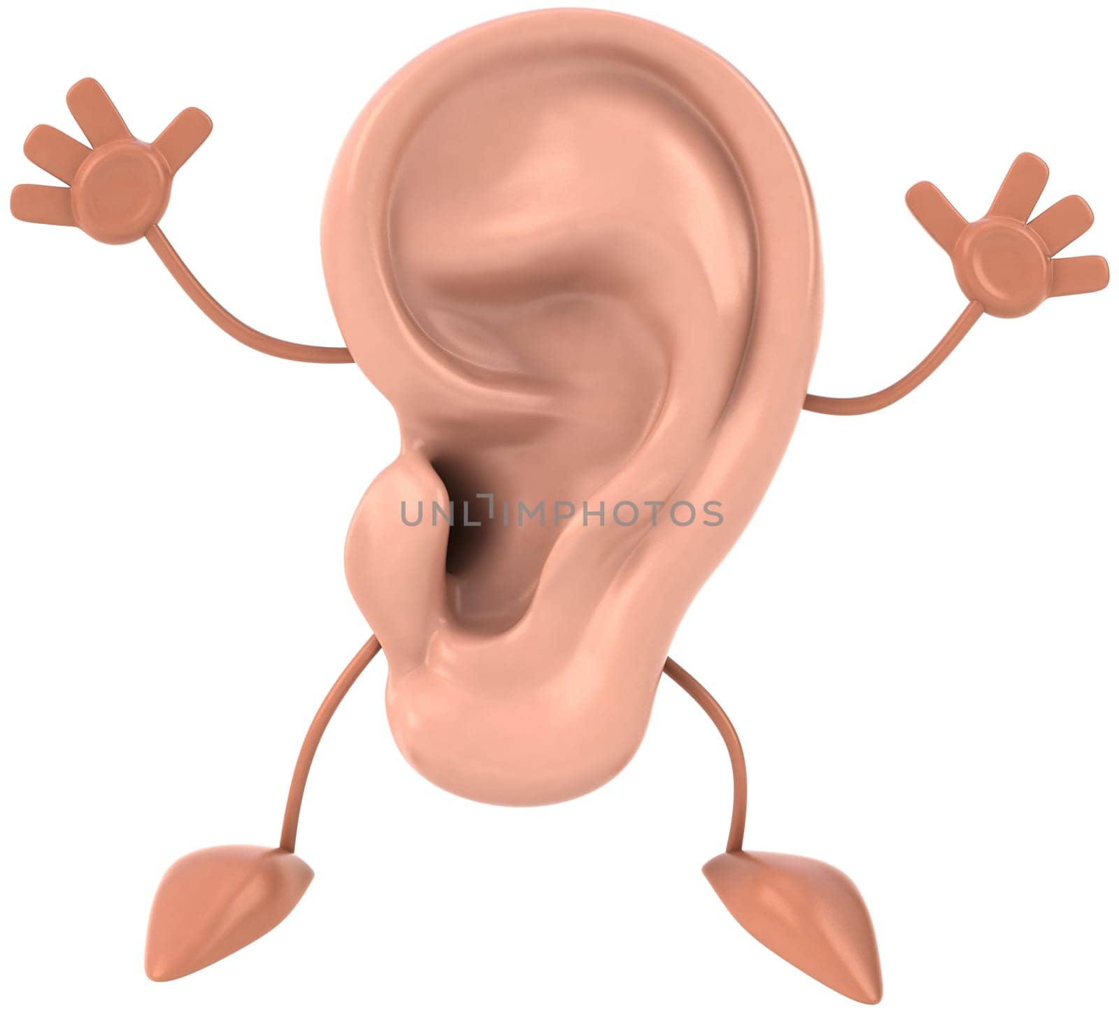 Ear