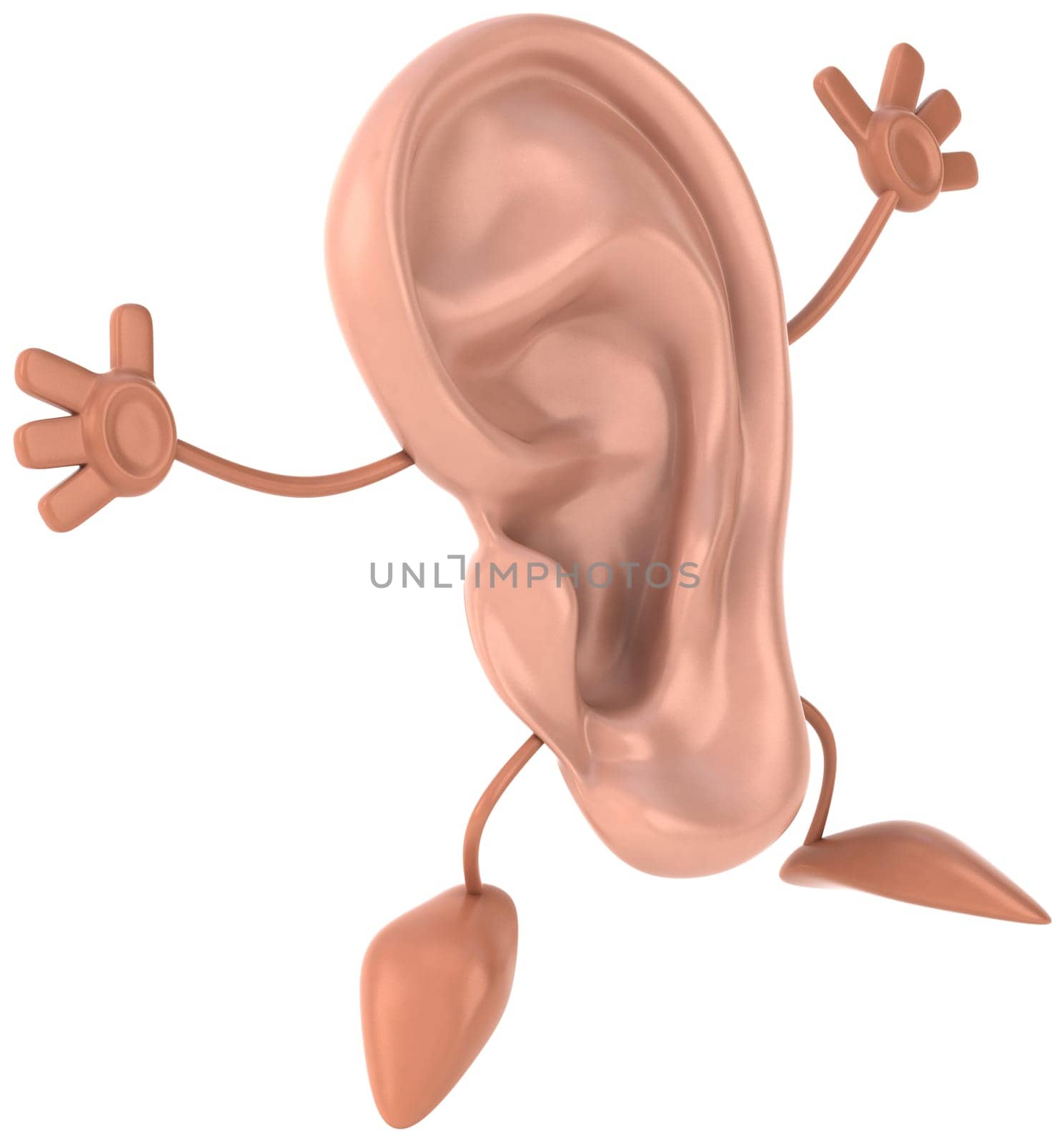Ear