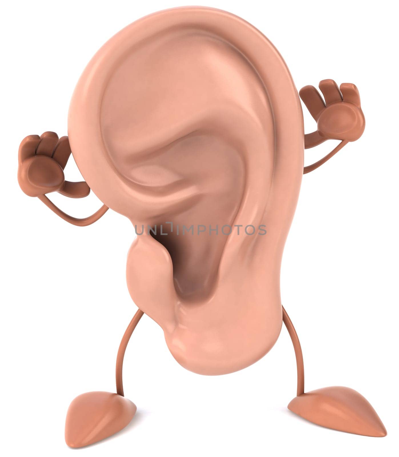 Ear