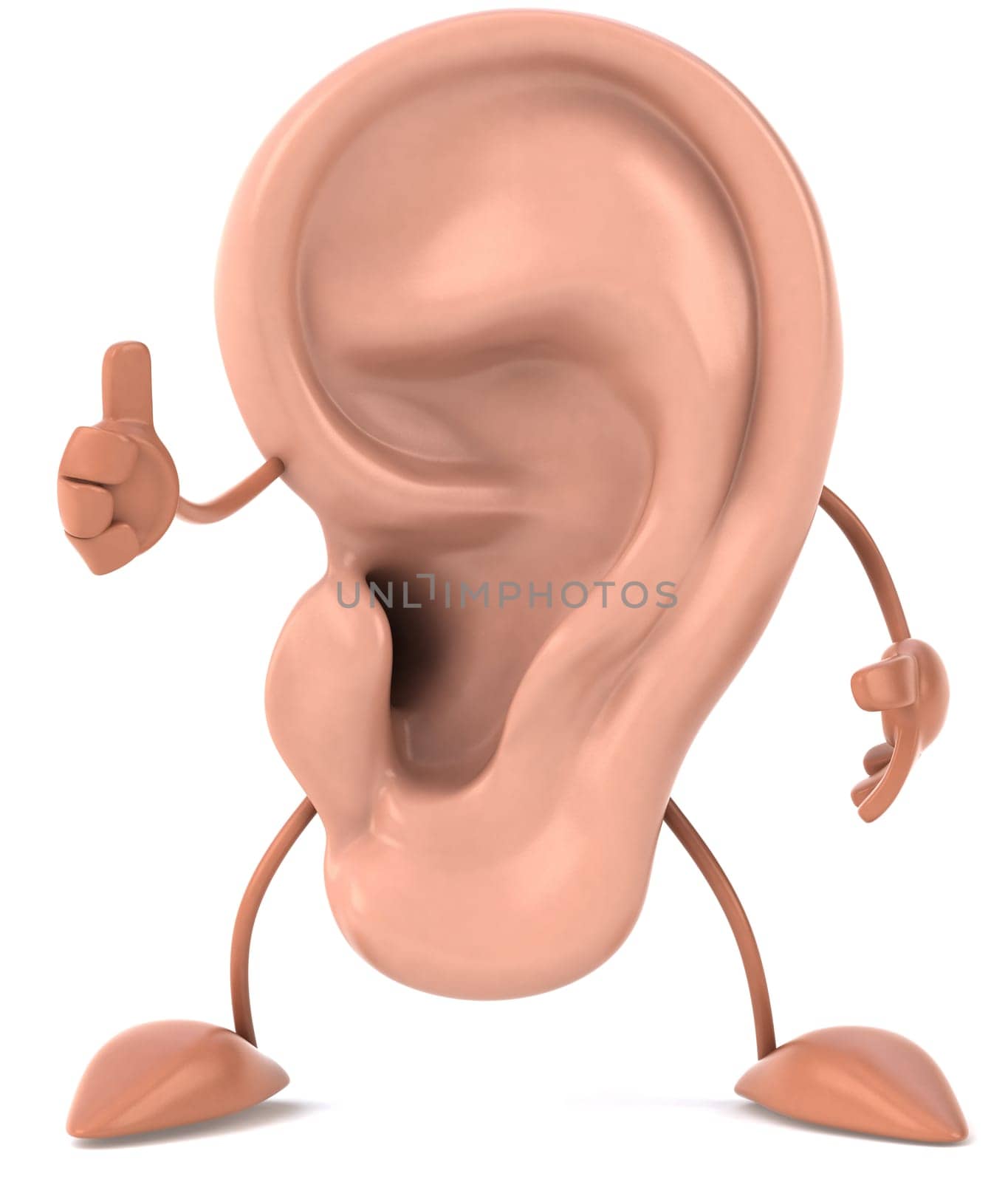 Ear