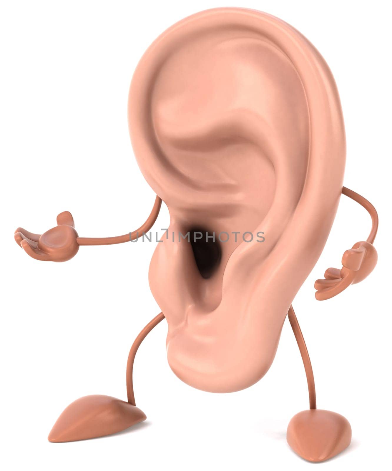 Ear
