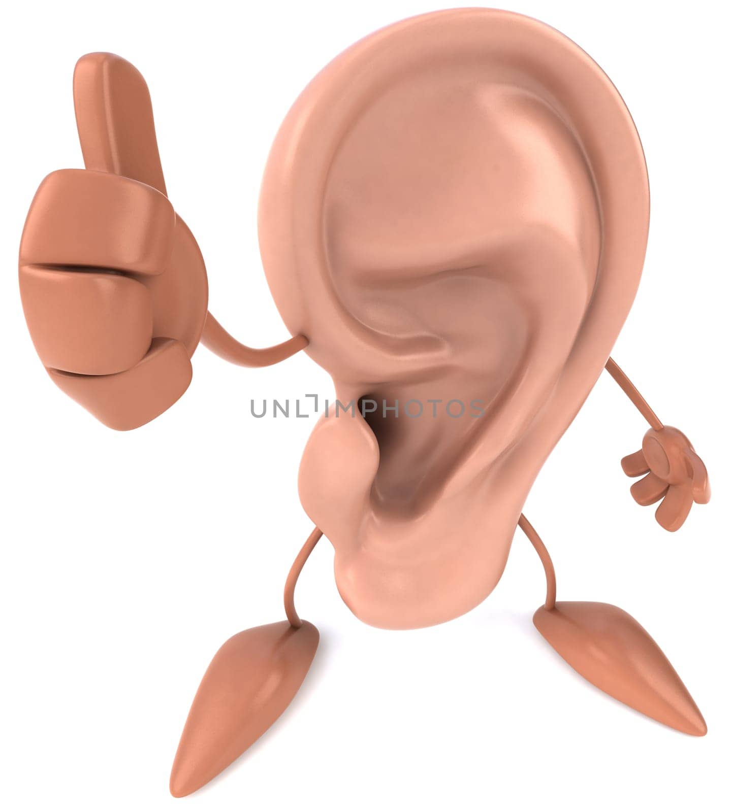 Ear