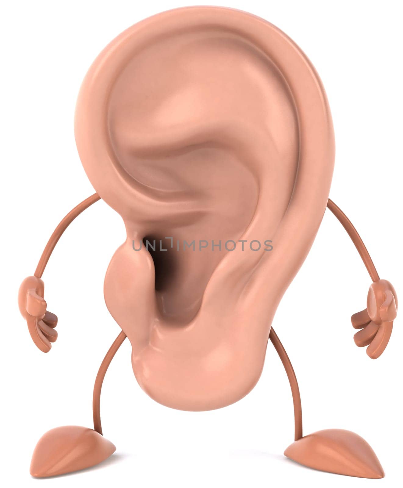 Ear