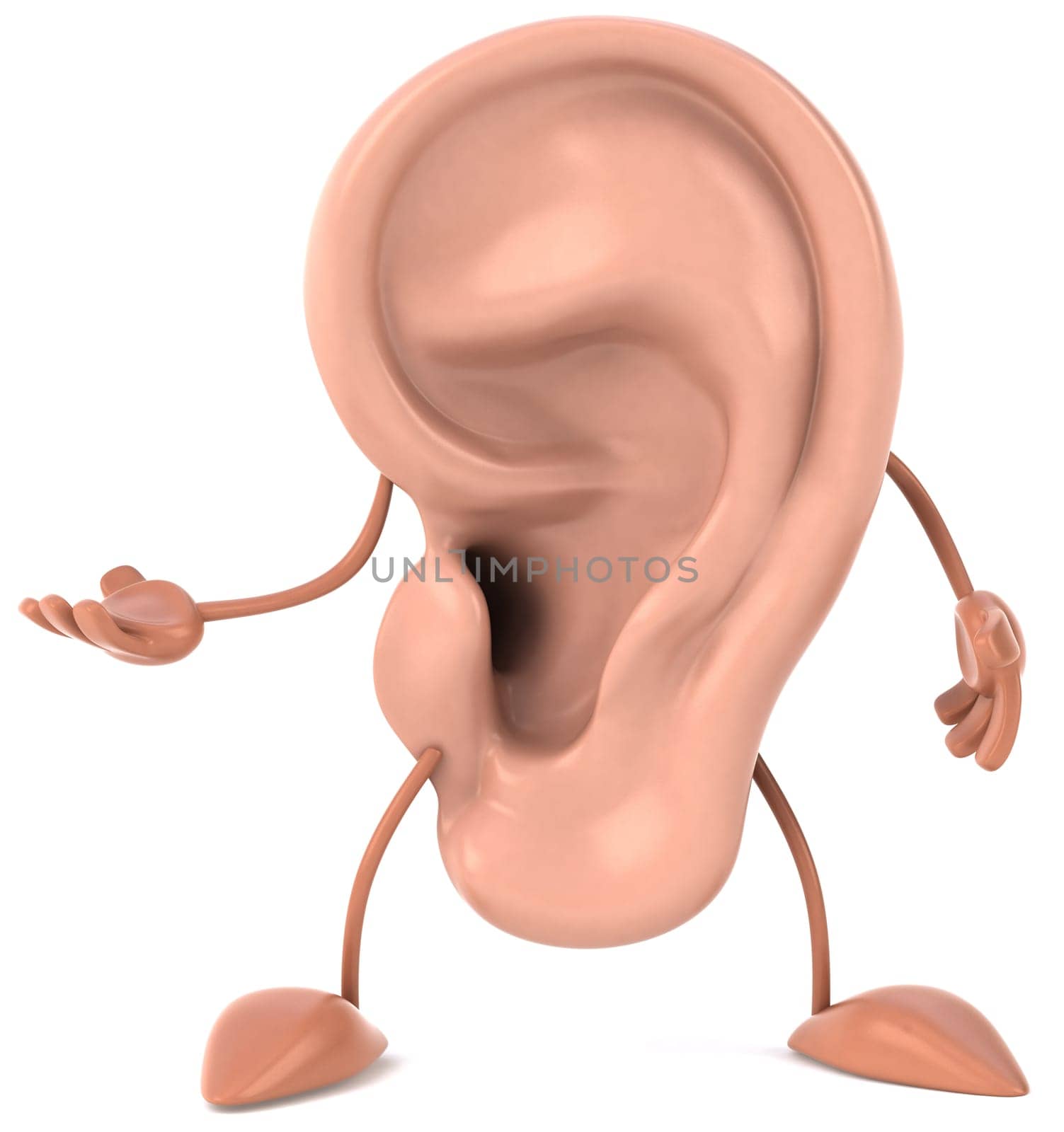 Ear