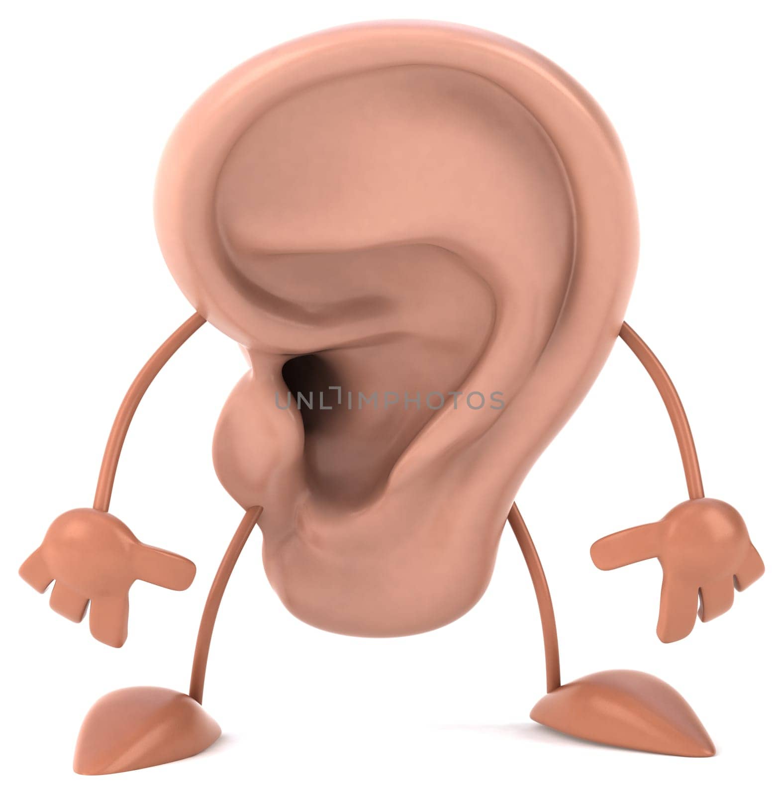 Ear