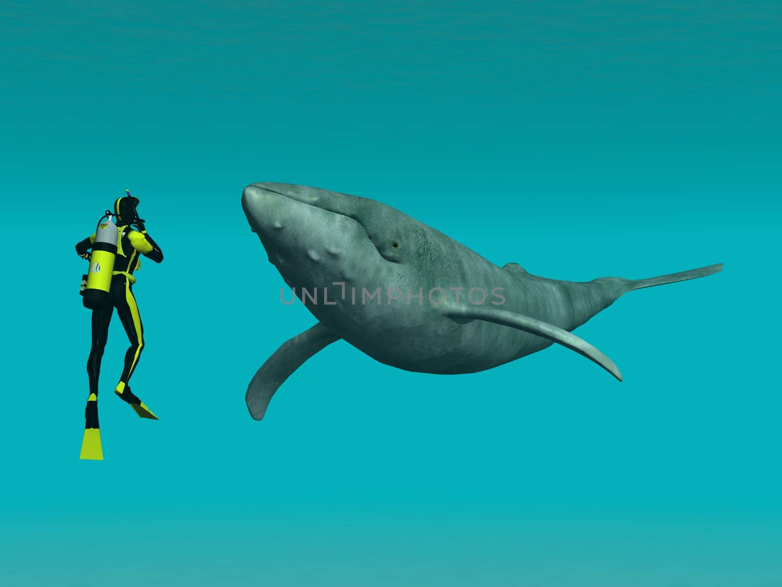Diver with whale