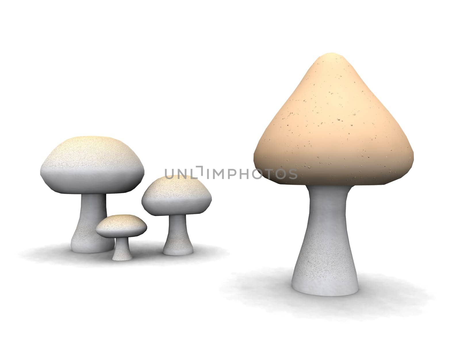 Fungi