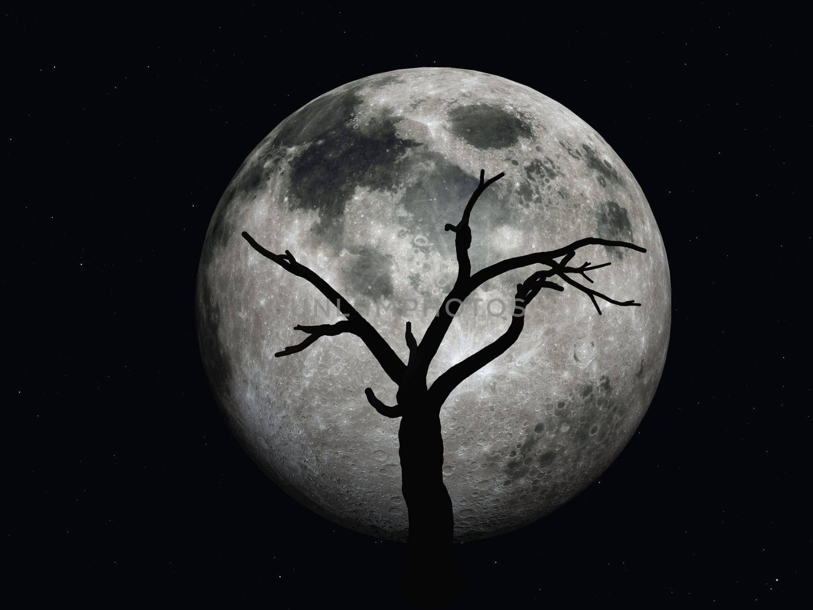 Desert Tree with Moon