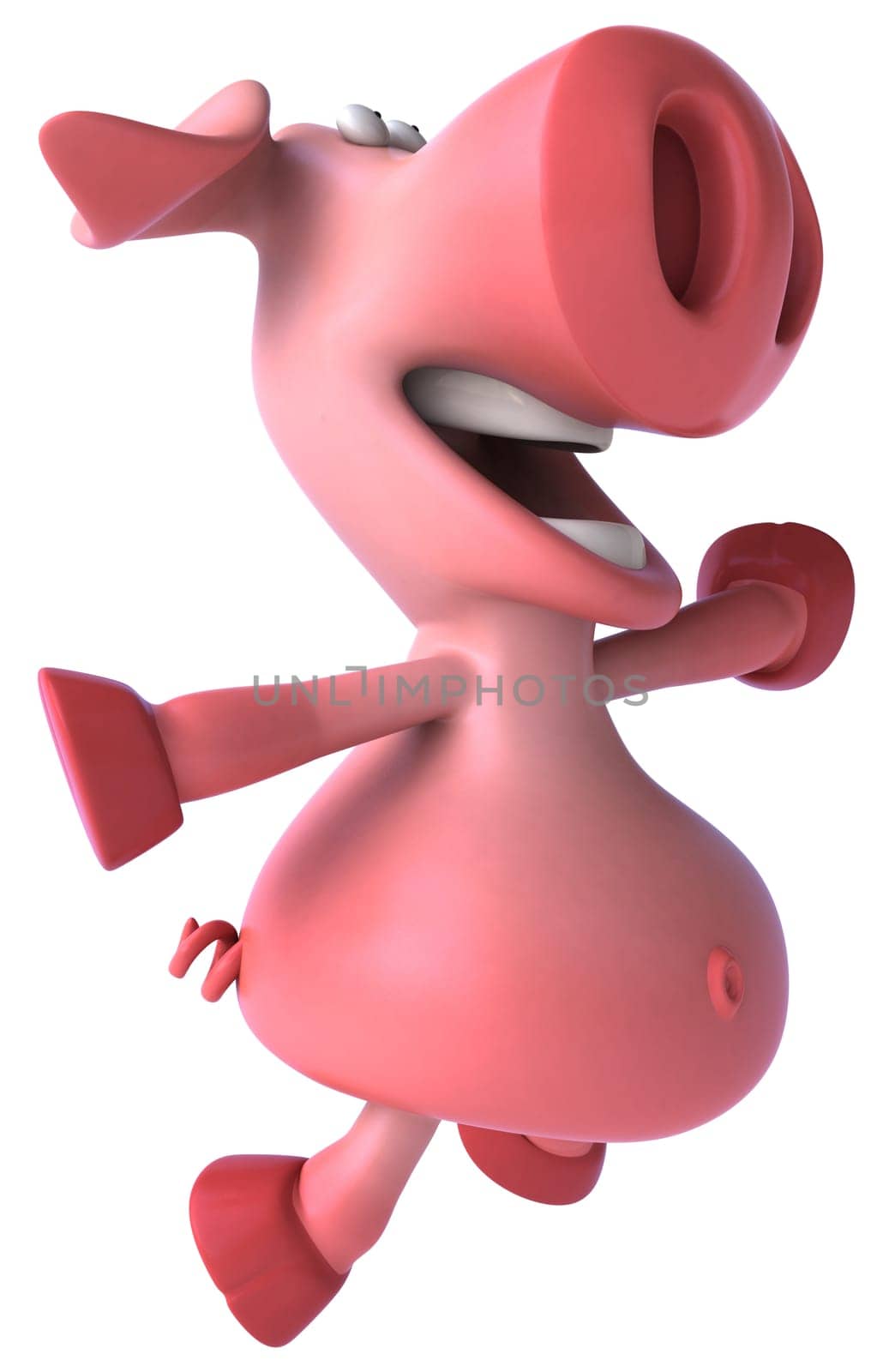 Pig