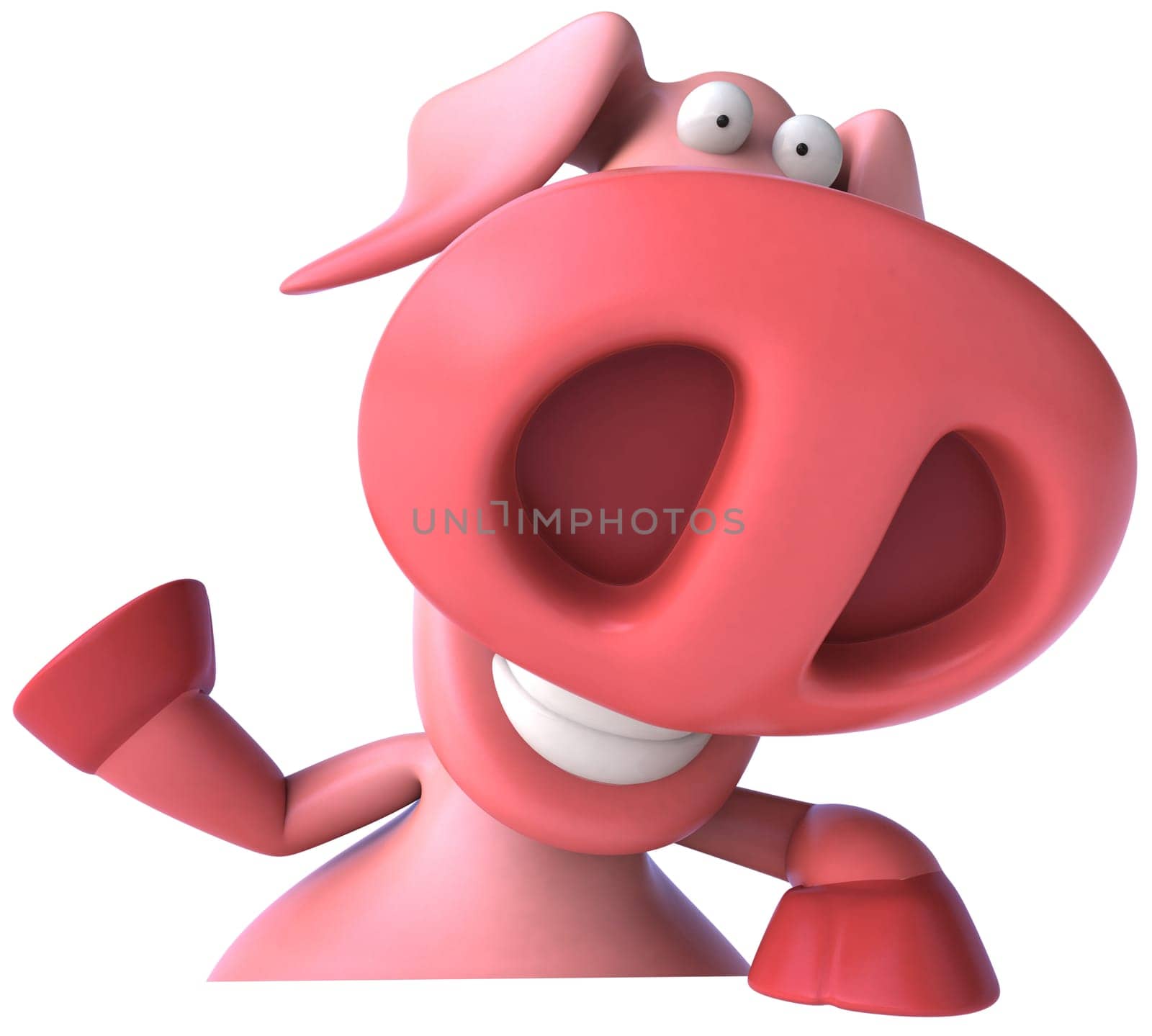 Pig