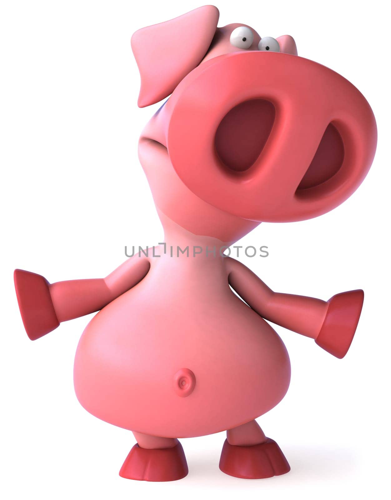 Pig