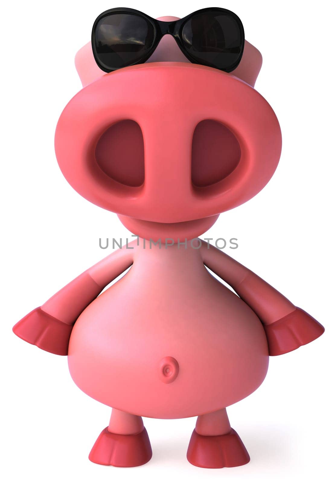 Pig