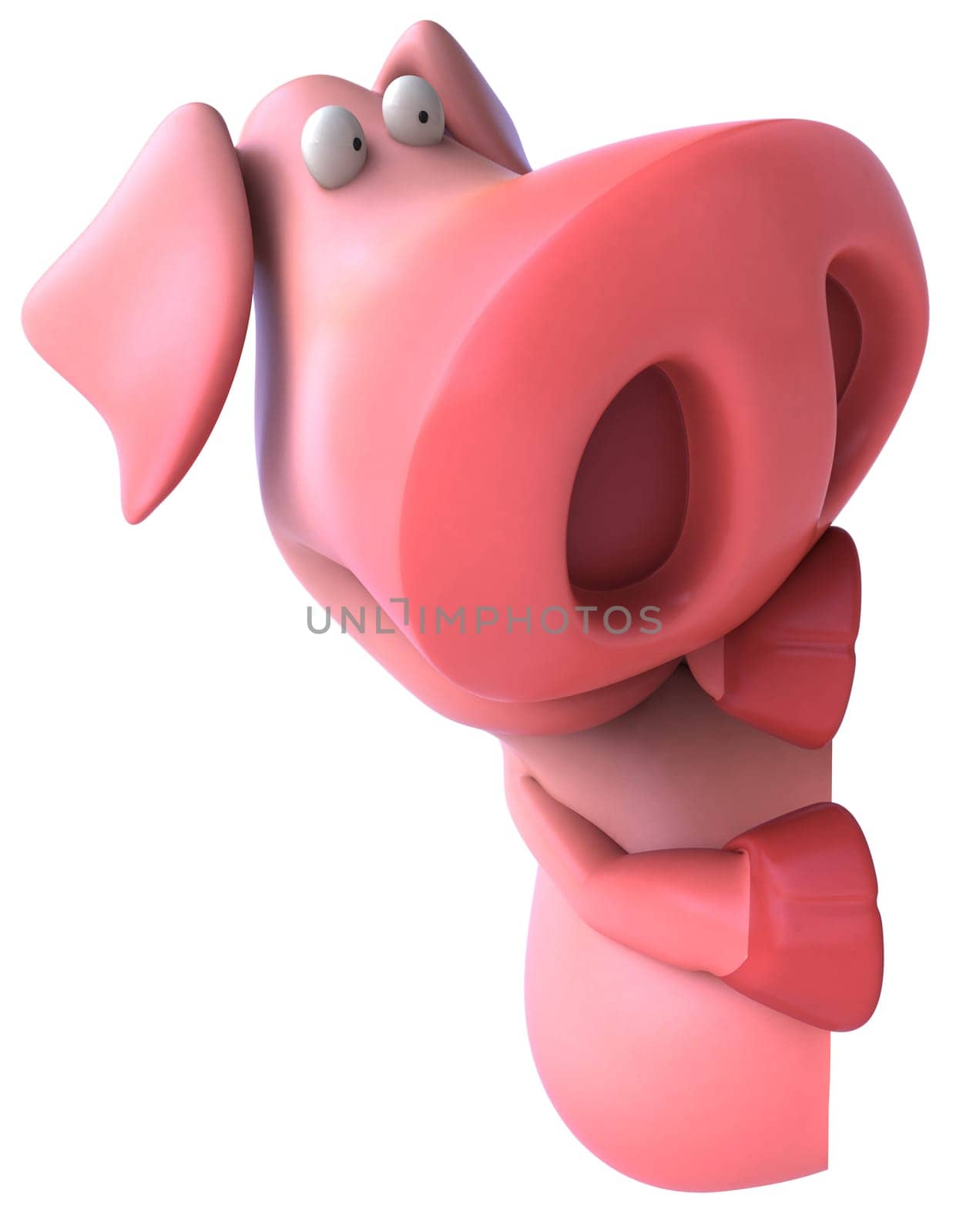 Pig