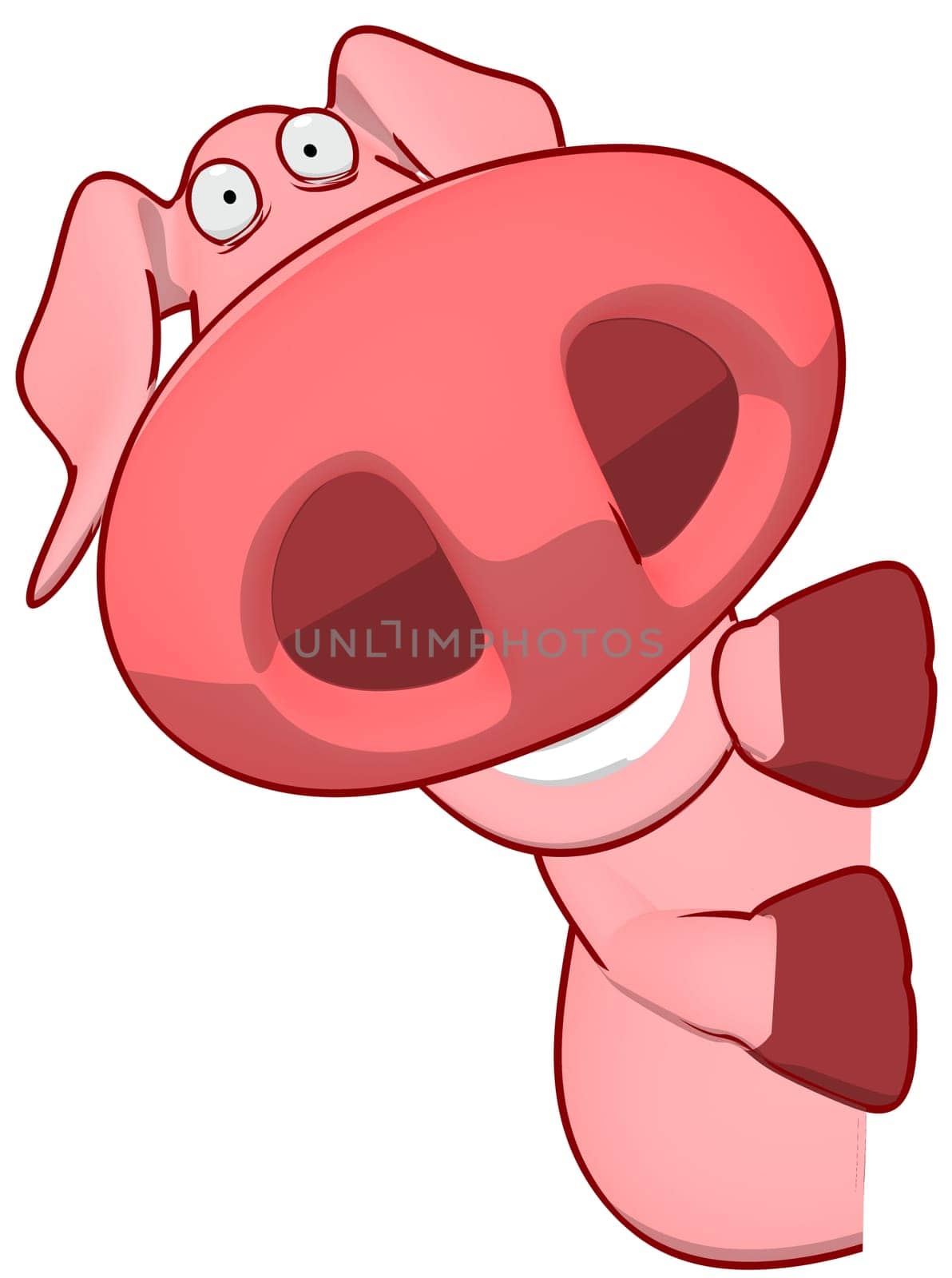 Pig