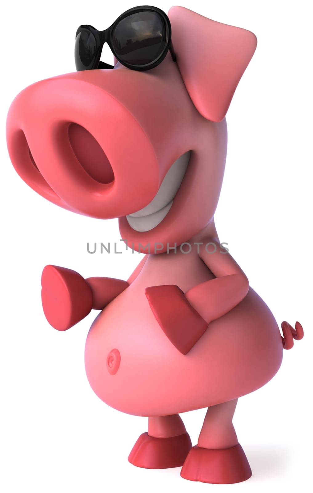 Pig