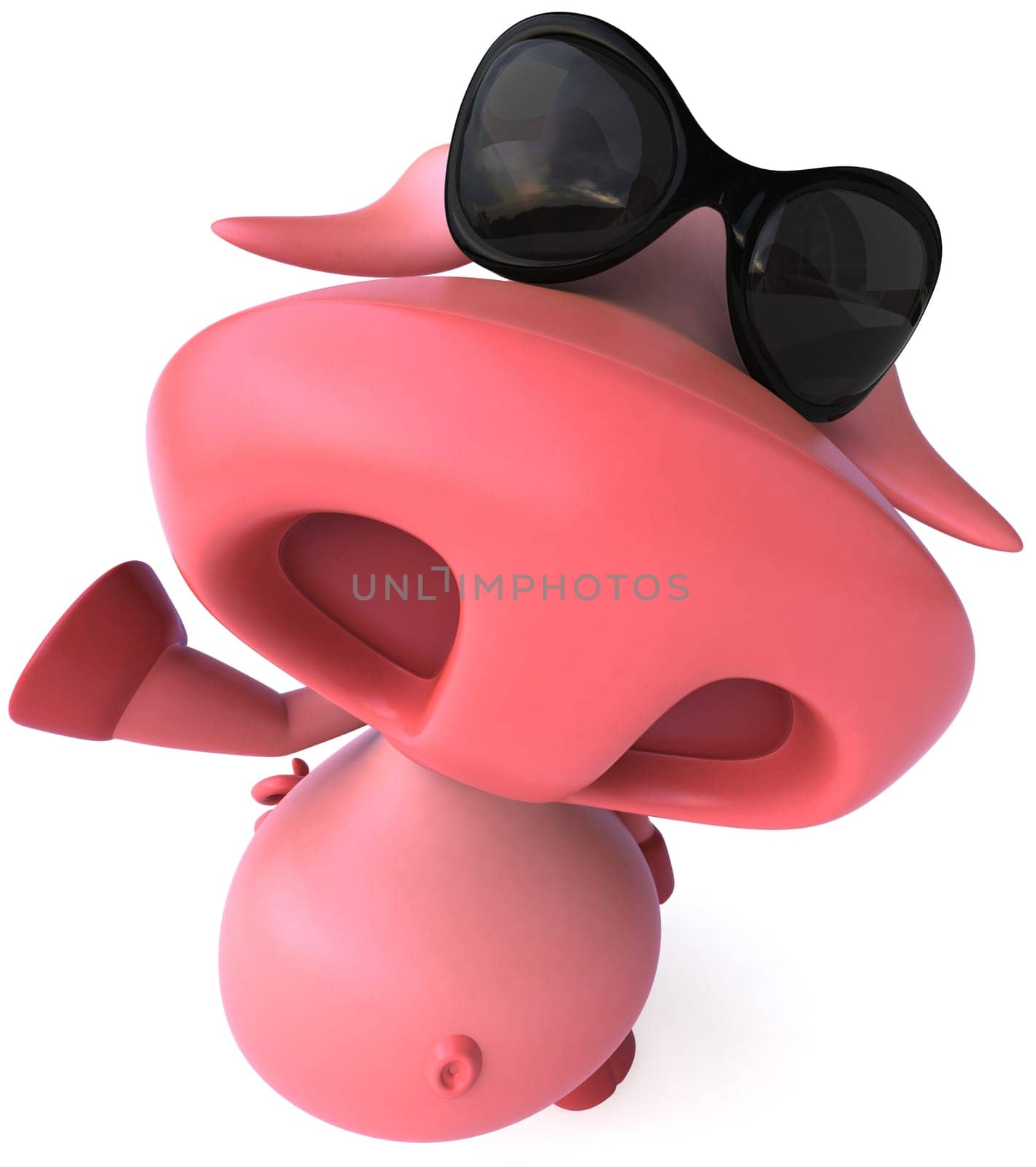 Pig