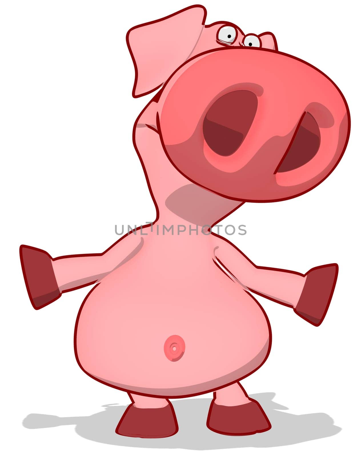 Pig